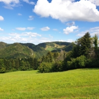 Visit to a beautiful farm in Switzerland